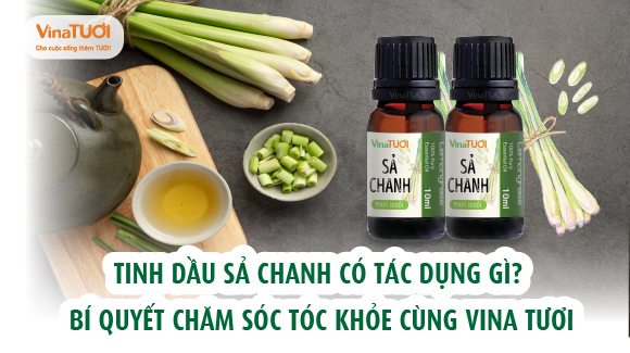 Tinh dầu sả chanh có tác dụng gì? Bí quyết chăm sóc tóc khỏe cùng Vina Tươi​