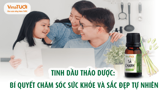 Tinh dầu thảo dược: Bí quyết chăm sóc sức khỏe và sắc đẹp tự nhiên