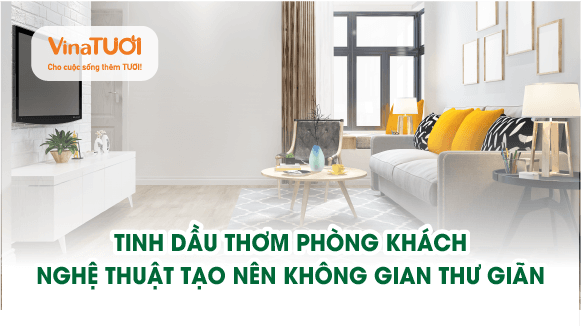 Tinh dầu thơm phòng khách: Nghệ thuật tạo nên không gian thư giãn