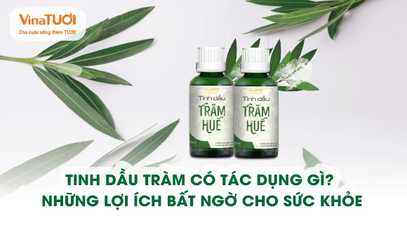 Tinh dầu tràm có tác dụng gì? Những lợi ích bất ngờ cho sức khỏe