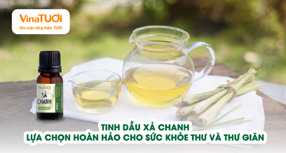 Tinh Dầu Xả Chanh: Lựa Chọn Hoàn Hảo Cho Sức Khỏe Và Thư Giãn