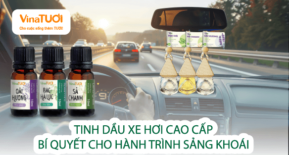 Tinh Dầu Xe Hơi Cao Cấp: Bí Quyết Cho Hành Trình Sảng Khoái