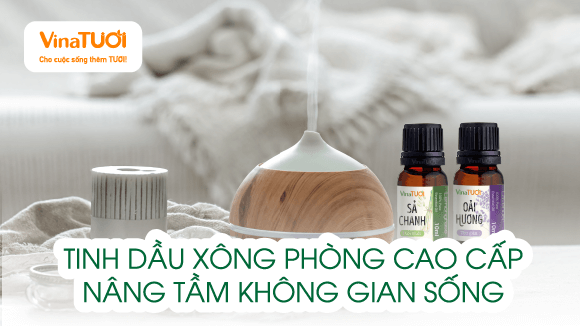 Tinh Dầu Xông Phòng Cao Cấp: Nâng Tầm Không Gian Sống