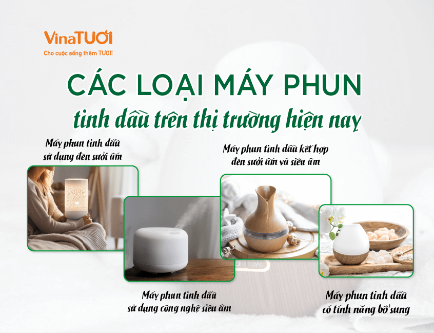 Các loại máy phun tinh dầu trên thị trường hiện nay