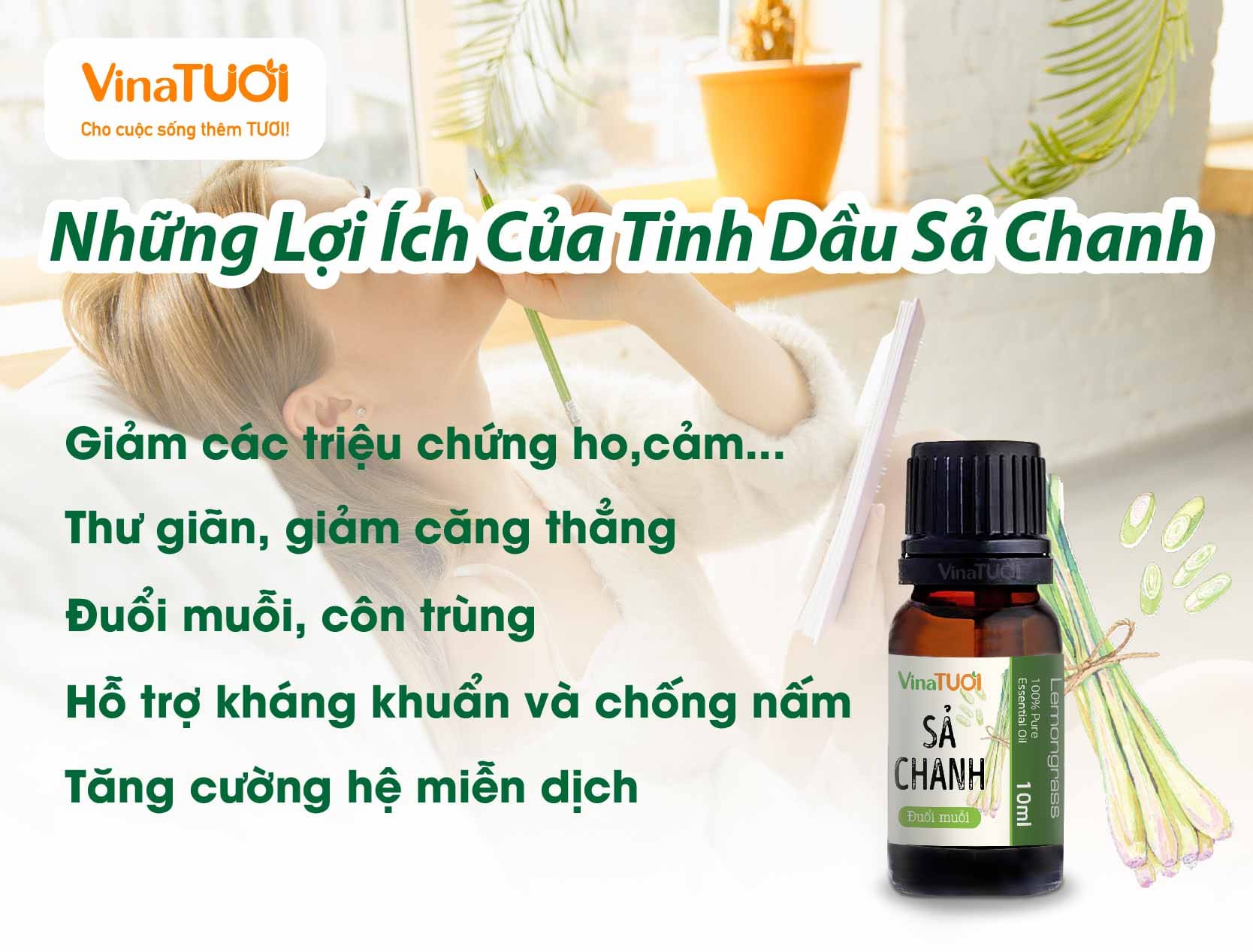 Lợi ích của tinh dầu sả chanh