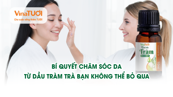 Bí quyết chăm sóc da từ dầu tràm trà bạn không thể bỏ qua