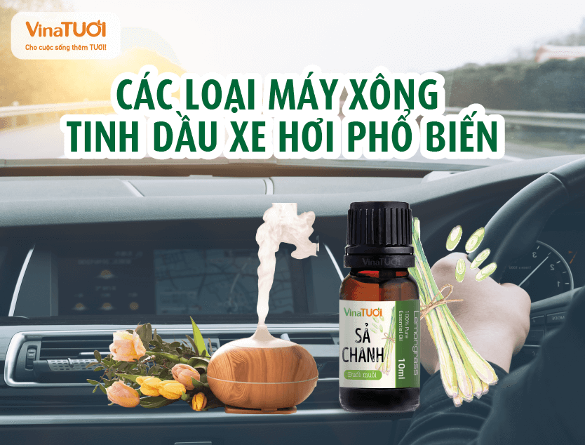 Các loại máy xông tinh dầu xe hơi phổ biến