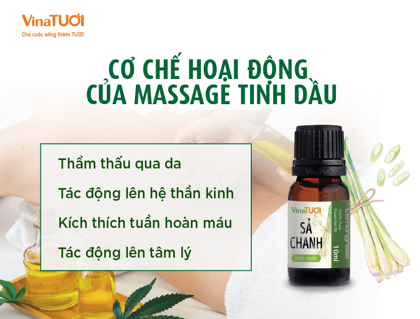 Cơ Chế Hoạt Động Của Massage Tinh Dầu