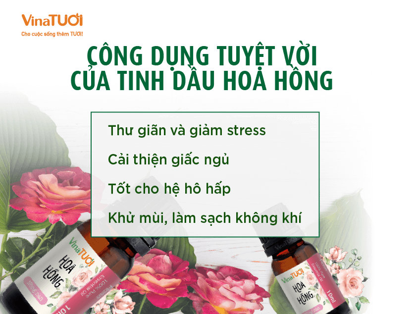 Công dụng tuyệt vời của tinh dầu hoa hồng: