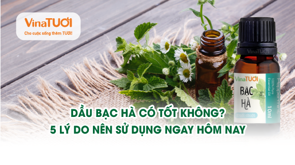 Dầu bạc hà có tốt không? 5 lý do nên sử dụng ngay hôm nay