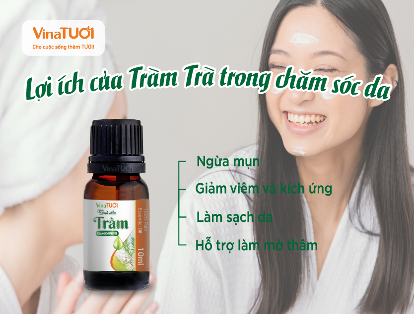 Lợi ích của dầu tràm trà trong chăm sóc da