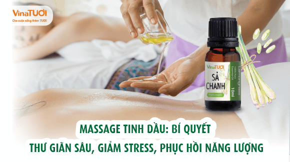 Massage Tinh Dầu: Bí Quyết Thư Giãn Sâu, Giảm Stress, Phục Hồi Năng Lượng