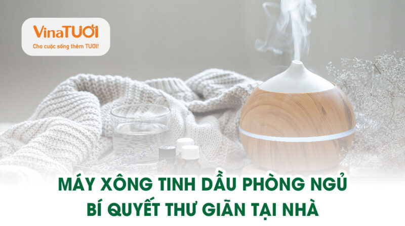 máy xông tinh dầu phòng ngủ