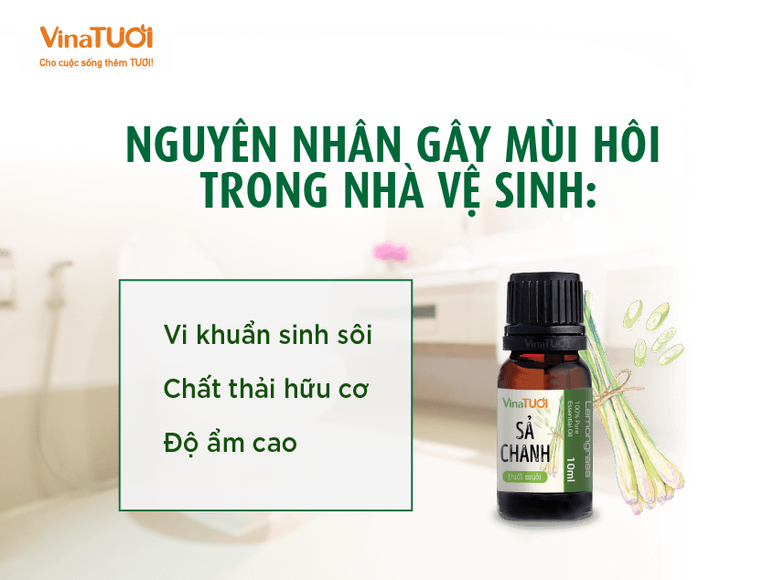 Nguyên nhân gây mùi hôi trong nhà vệ sinh: