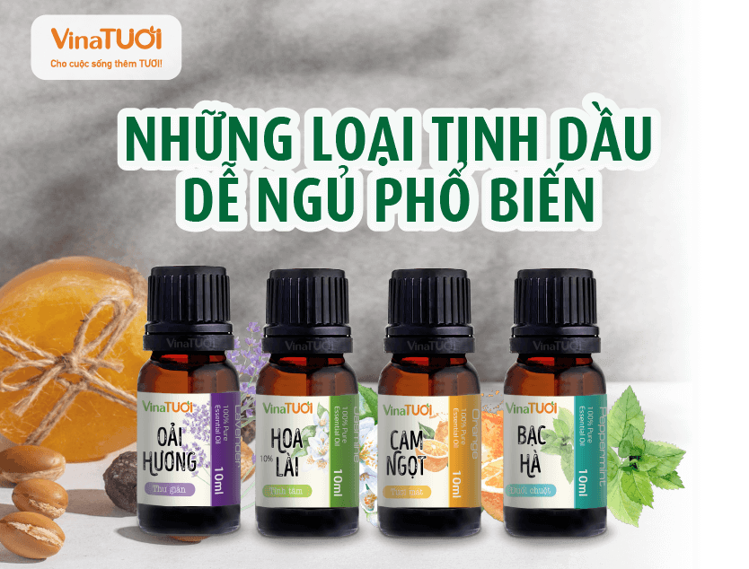 Những loại tinh dầu dễ ngủ phổ biến