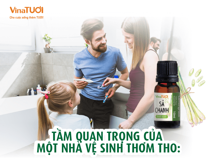 Tầm quan trọng của một nhà vệ sinh thơm tho: