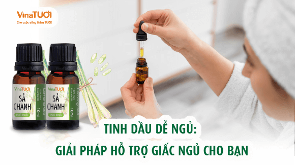 Tinh dầu dễ ngủ: Giải pháp hỗ trợ giấc ngủ cho bạn