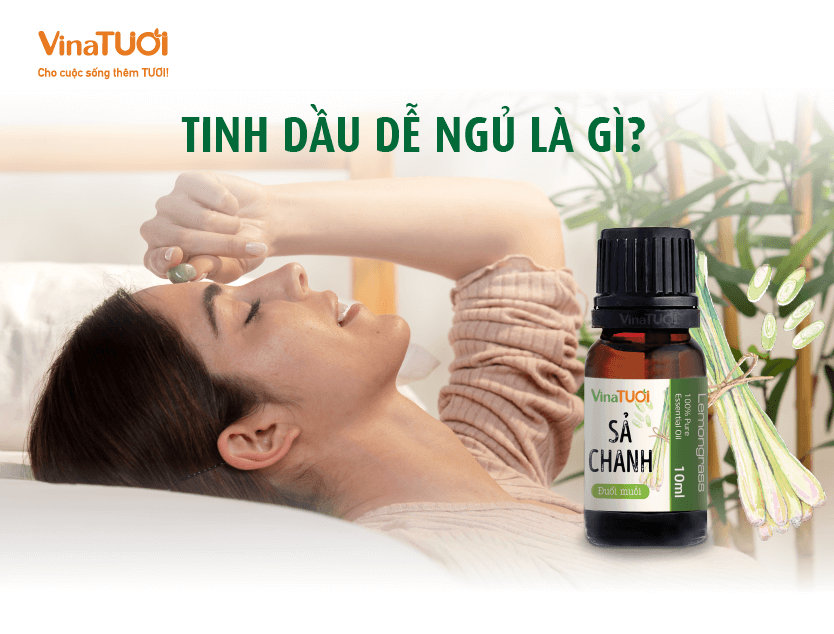 Tinh dầu dễ ngủ là gì