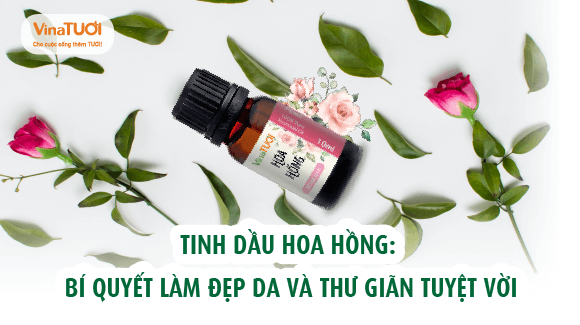 Tinh dầu hoa hồng: Bí quyết làm đẹp da và thư giãn tuyệt vời