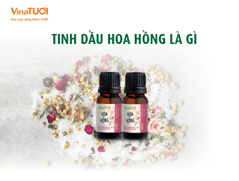 Tinh dầu hoa hồng là gì?