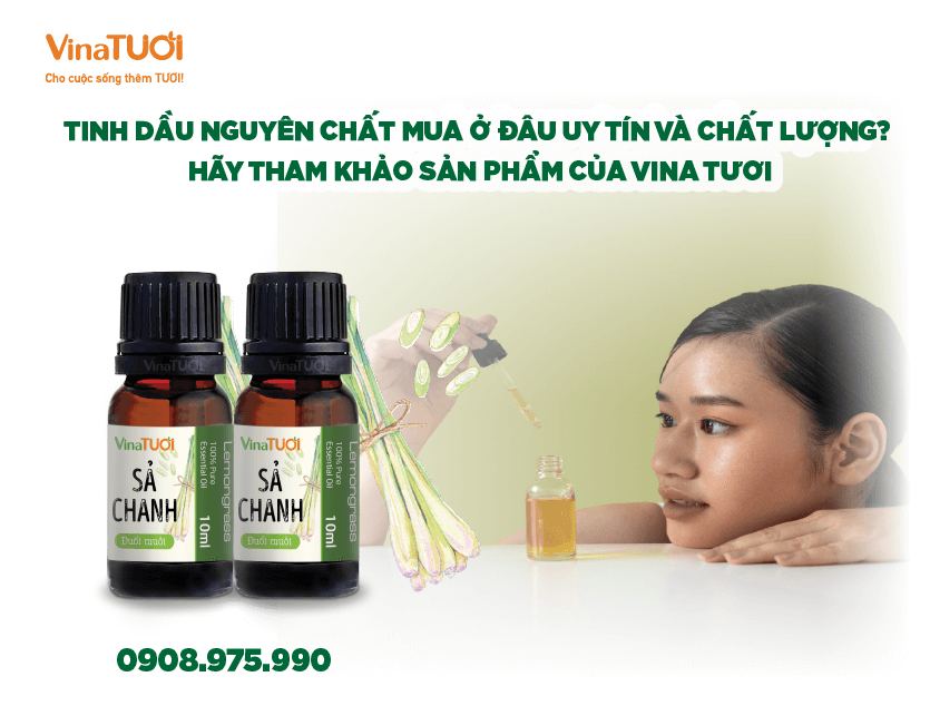 Tinh dầu nguyên chất mua ở đâu uy tín và chất lượng? Hãy tham khảo sản phẩm của Vina Tươi