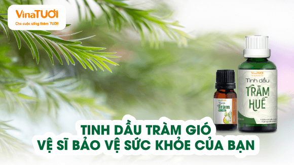 Tinh Dầu Tràm Gió: Vệ Sĩ Bảo Vệ Sức Khỏe Của Bạn