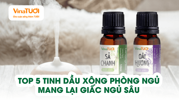 Top 5 Tinh Dầu Xông Phòng Ngủ Mang Lại Giấc Ngủ Sâu