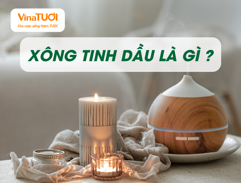 Xông Tinh Dầu Là Gì?