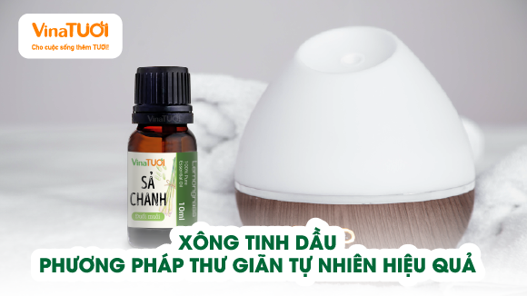 Xông Tinh Dầu: Phương Pháp Thư Giãn Tự Nhiên Hiệu Quả