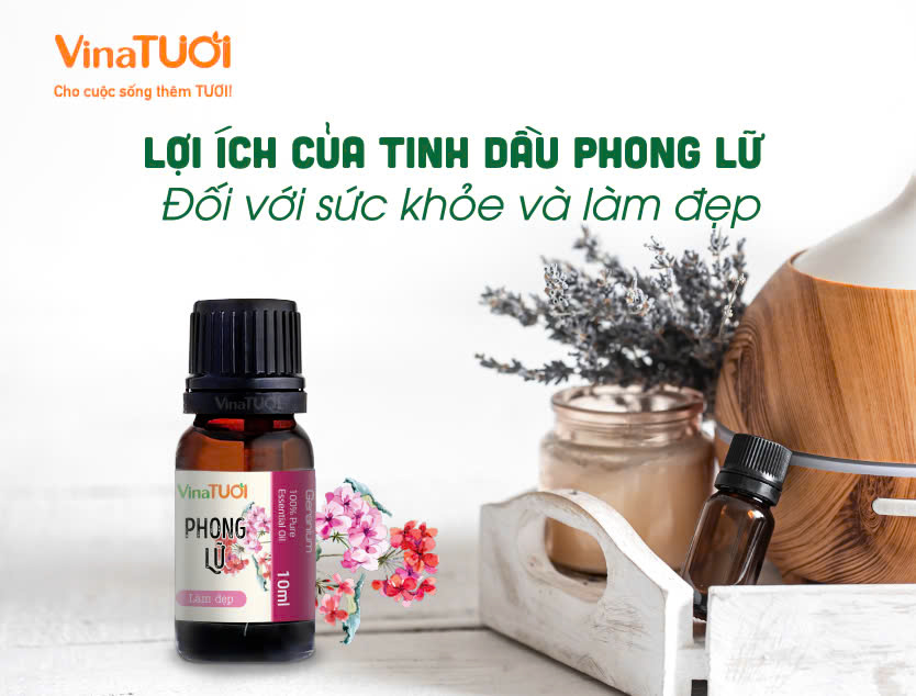 Lợi ích của Tinh Dầu Phong Lữ đối với Sức Khỏe