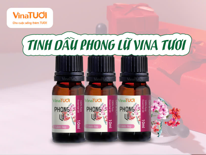 Tại sao nên chọn tinh dầu của Vina Tươi?