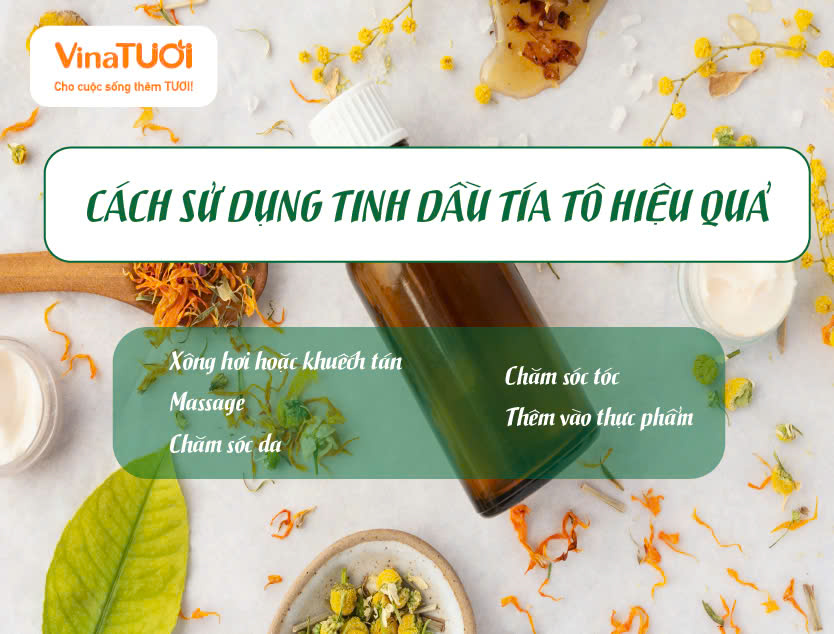 Hướng dẩn sử dụng tinh dầu tía tô