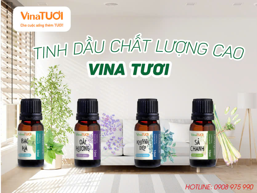  Tại sao nên chọn tinh dầu của Vina Tươi?