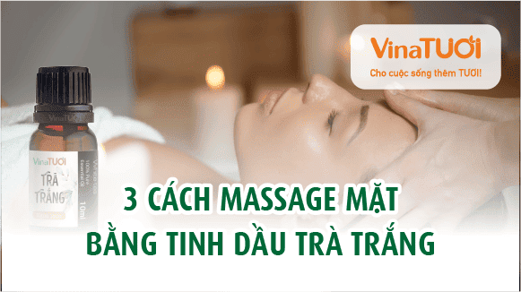 3 cách massage mặt bằng tinh dầu trà trắng
