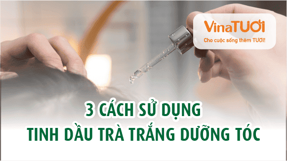 3 cách sử dụng tinh dầu trà trắng dưỡng tóc hiệu quả nhất