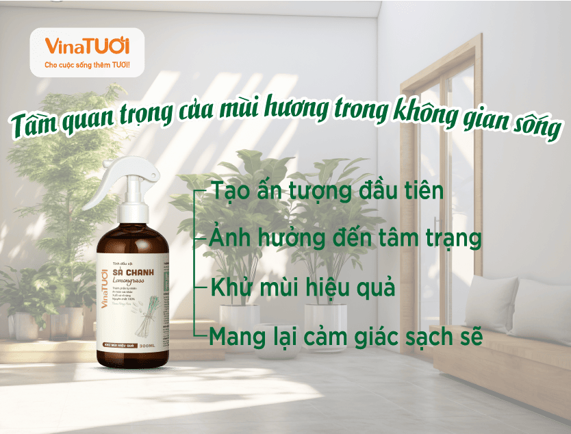Tầm quan trọng của mùi hương trong không gian sống