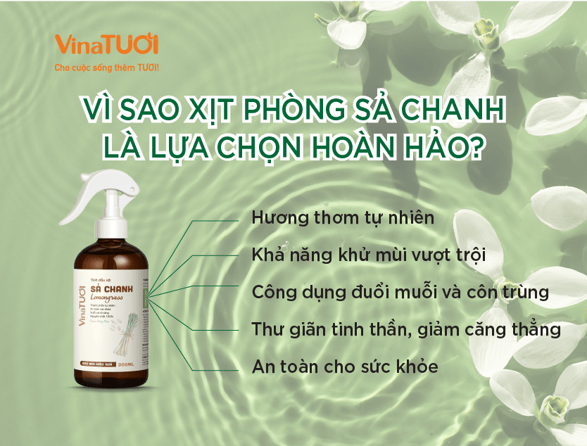 Vì sao xịt phòng sả chanh là lựa chọn hoàn hảo?