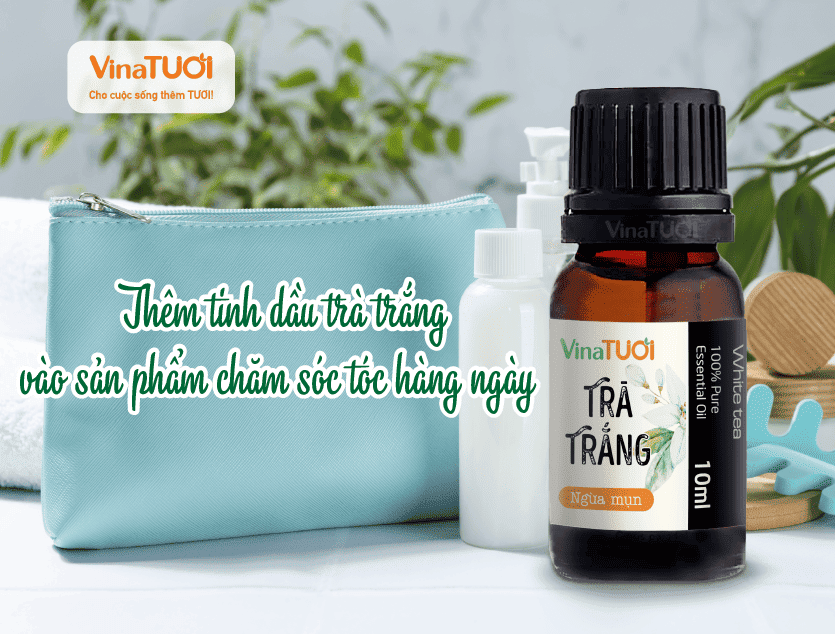 Thêm tinh dầu trà trắng vào sản phẩm chăm sóc tóc hàng ngày