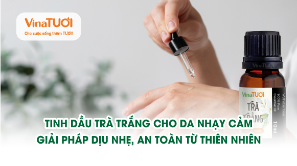 Tinh dầu trà trắng cho da nhạy cảm: Giải pháp dịu nhẹ, an toàn từ thiên nhiên