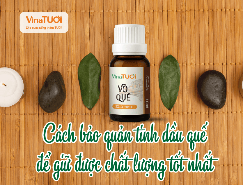 Cách bảo quản tinh dầu quế để giữ được chất lượng tốt nhất