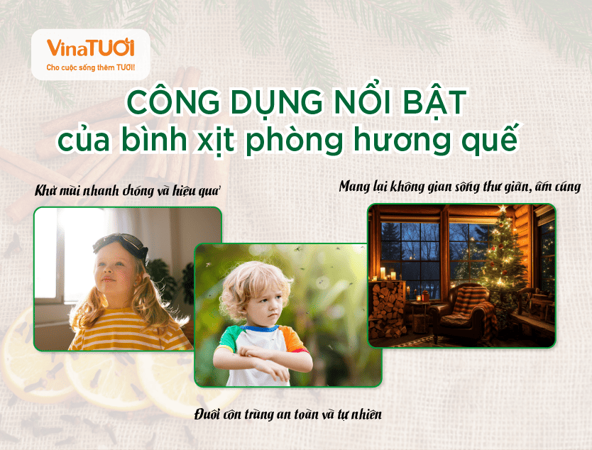 Công dụng nổi bật của bình xịt phòng hương quế