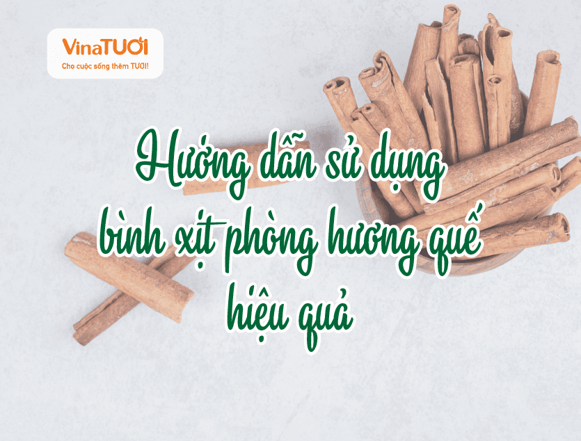Hướng dẫn sử dụng bình xịt phòng hương quế hiệu quả