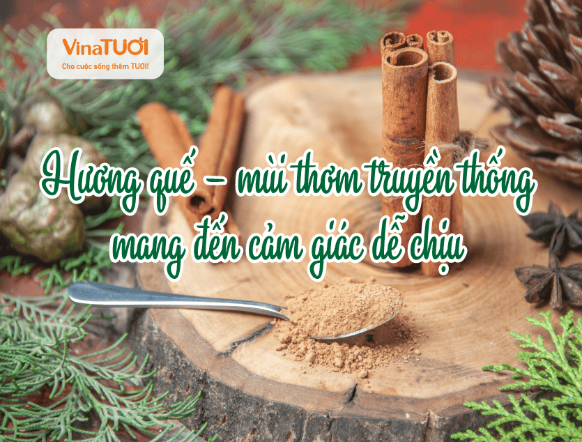 Hương quế – mùi thơm truyền thống mang đến cảm giác dễ chịu