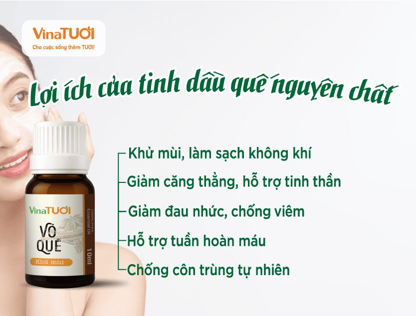 Lợi ích của tinh dầu quế nguyên chất