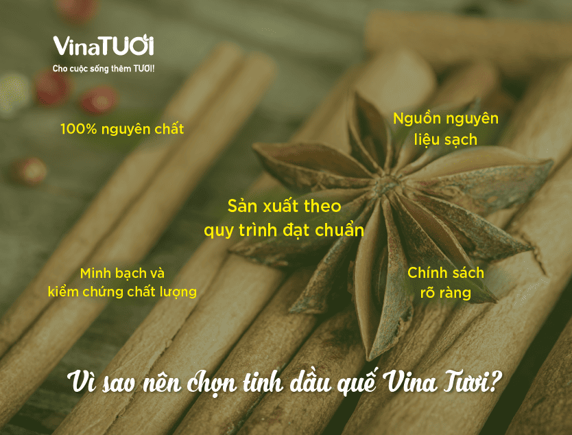 Vì sao nên chọn tinh dầu quế từ Vina Tươi?