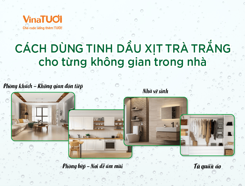Cách dùng tinh dầu xịt trà trắng cho từng không gian trong nhà