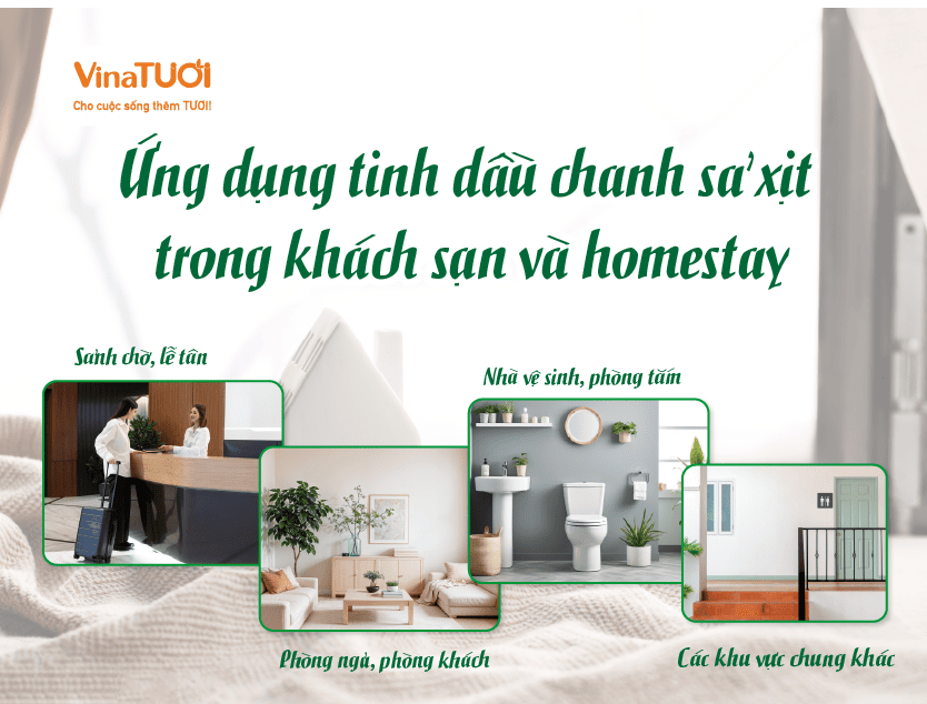 Ứng dụng tinh dầu chanh sả xịt trong khách sạn và homestay
