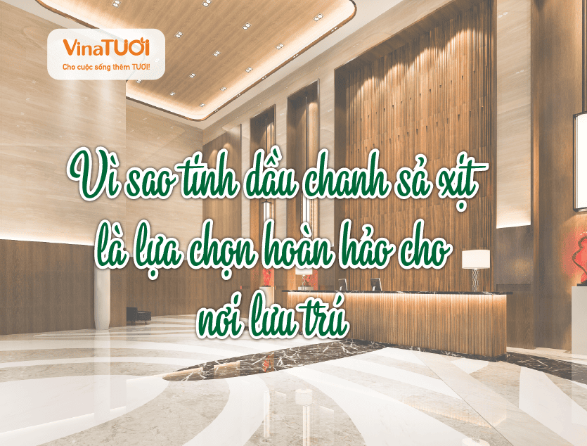 Vì sao tinh dầu chanh sả xịt là lựa chọn lý tưởng cho không gian lưu trú?