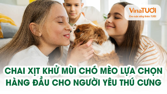 Chai xịt khử mùi chó mèo – lựa chọn hàng đầu cho người yêu thú cưng