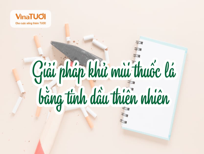 Giải pháp khử mùi thuốc lá bằng tinh dầu thiên nhiên